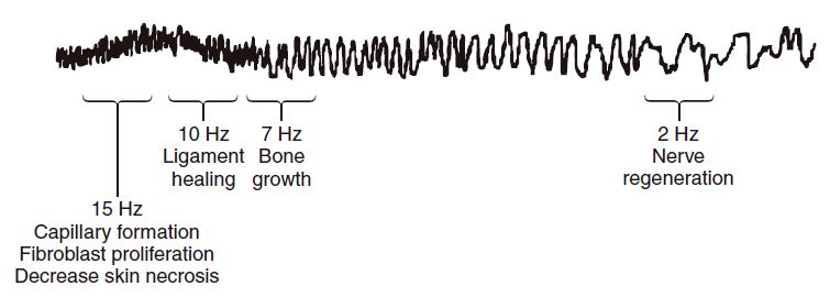 Toroidal Energy Fields The Library Of Atlantis